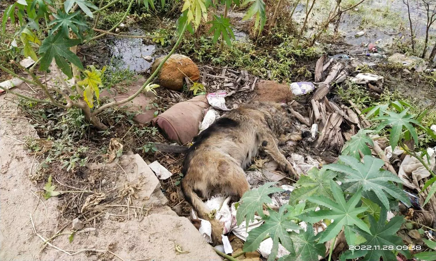 குடியிருப்பு பகுதியில் கொட்டப்படும் குப்பை குடியிருப்பு பகுதியில் கொட்டப்படும் குப்பை