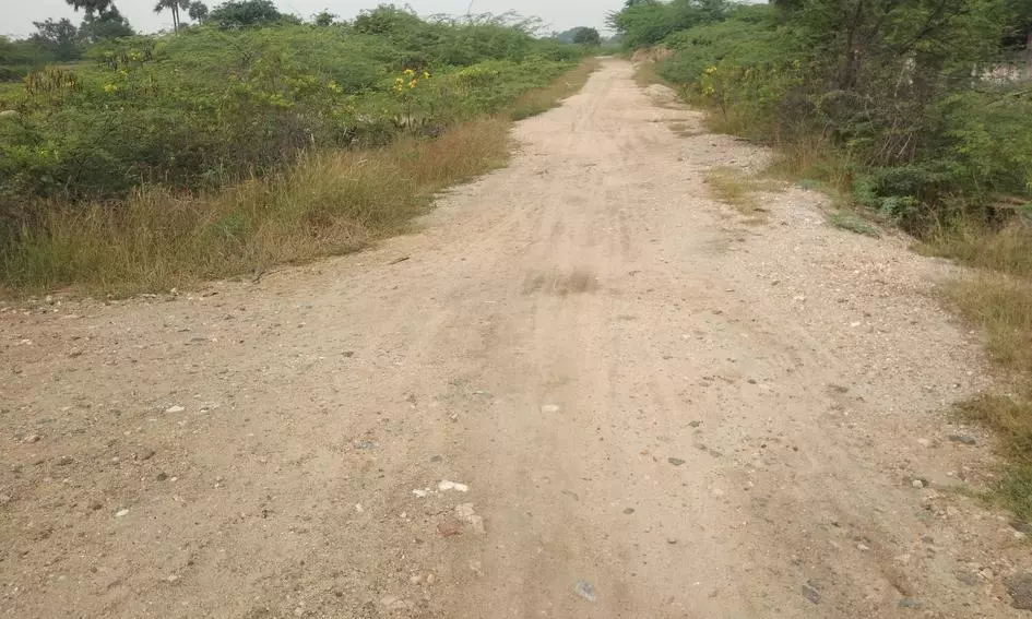 தார்ச்சாலை அமைக்கப்படுமா?