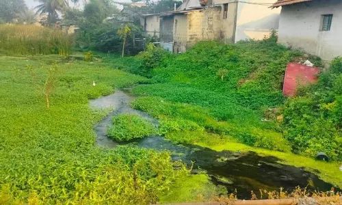 கழிவுநீர் பாதையான நல்லாறு கழிவுநீர் பாதையான நல்லாறு