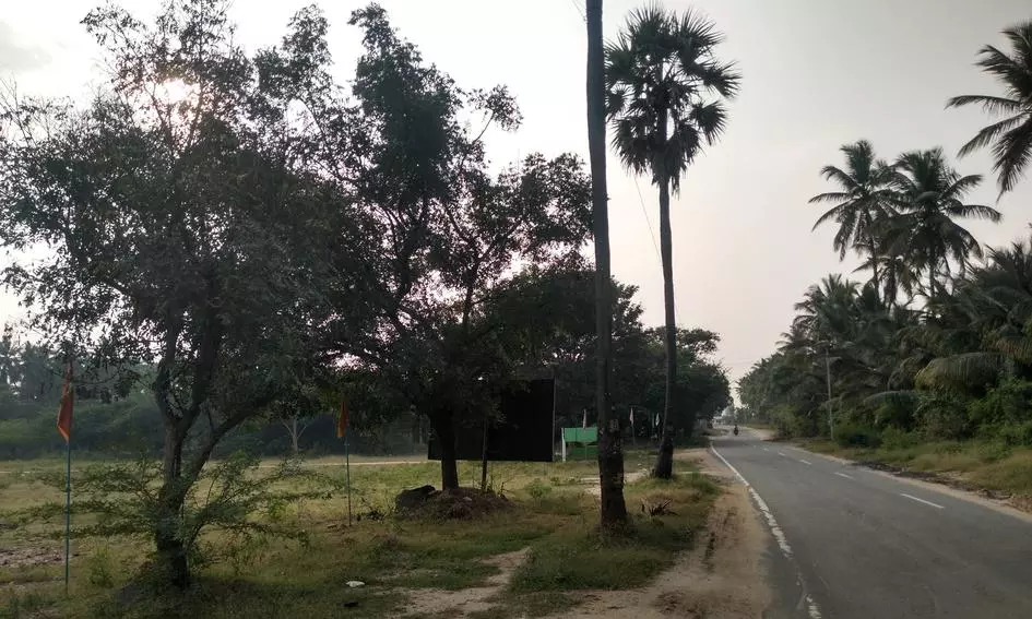 சாலையோர மரங்களை அகற்ற வேண்டும் சாலையோர மரங்களை அகற்ற வேண்டும்