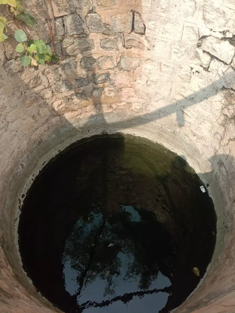 கம்பி வலை அமைக்கப்படுமா? கம்பி வலை அமைக்கப்படுமா?