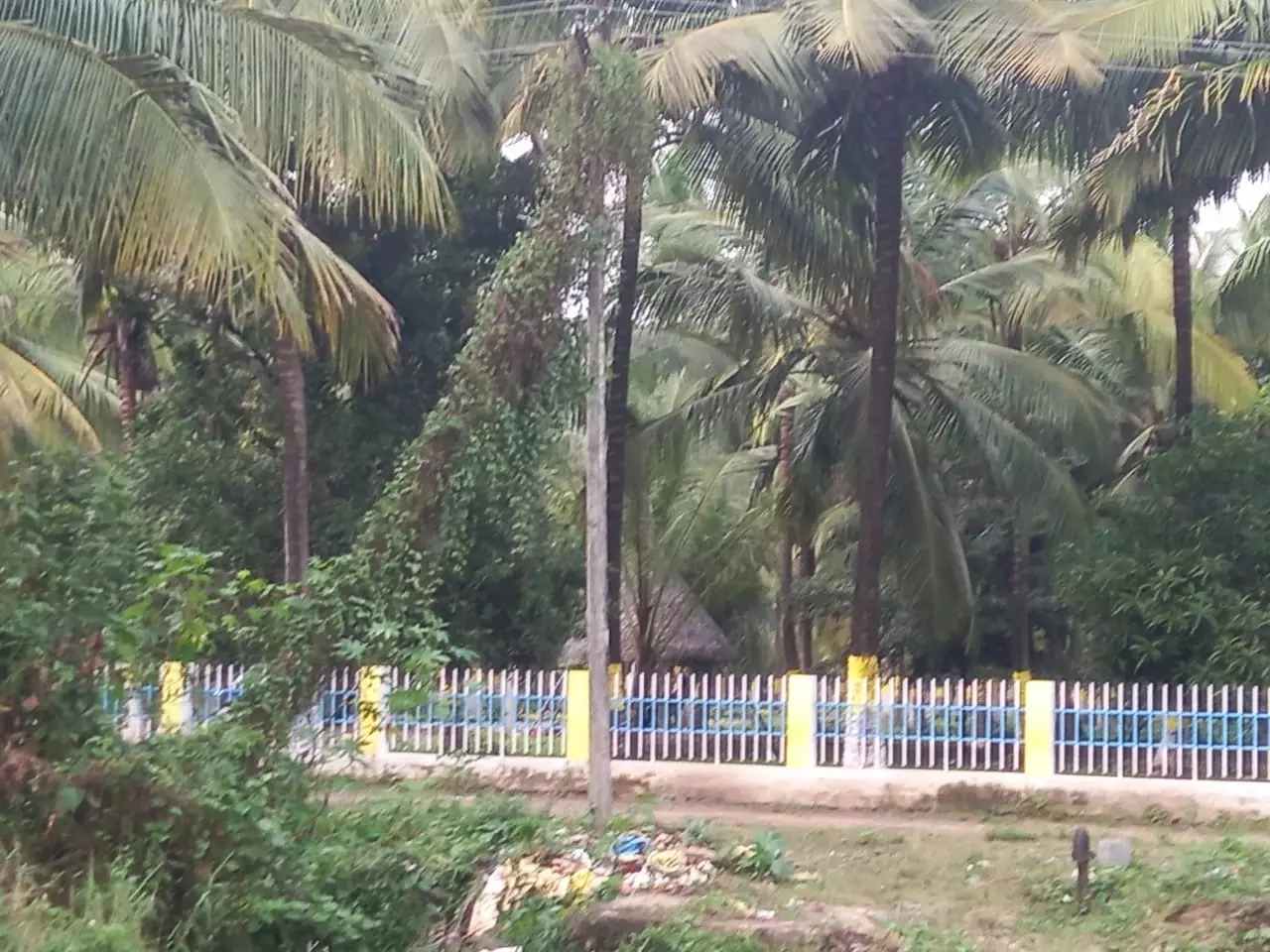 நடவடிக்கை எடுக்க வேண்டும் நடவடிக்கை எடுக்க வேண்டும்