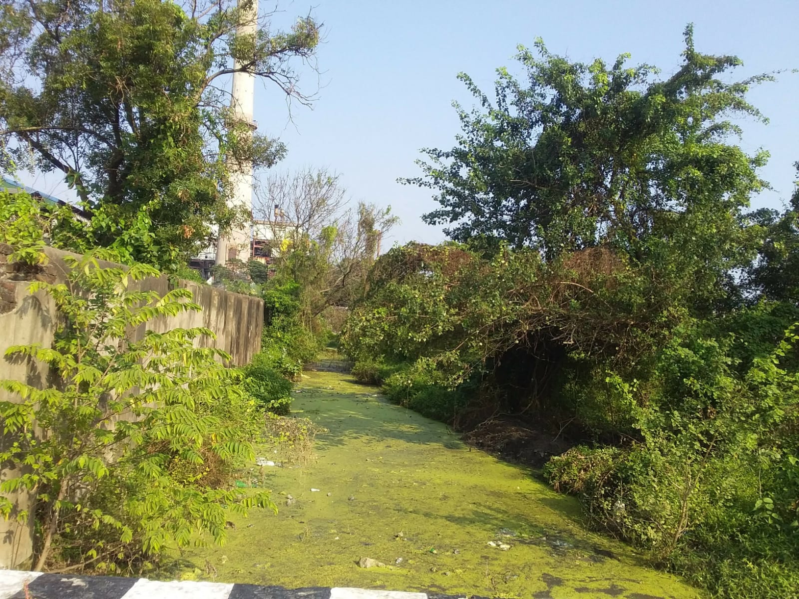 கால்வாய் தூர்வாரப்படுமா?