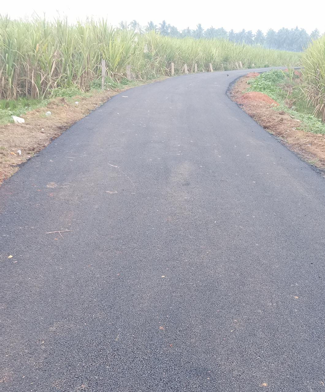 செய்தி எதிரொலி