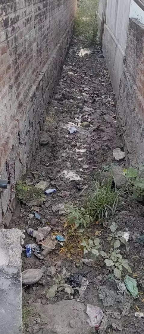 தூர்வாரப்படாத கழிவுநீர் வாய்க்கால்