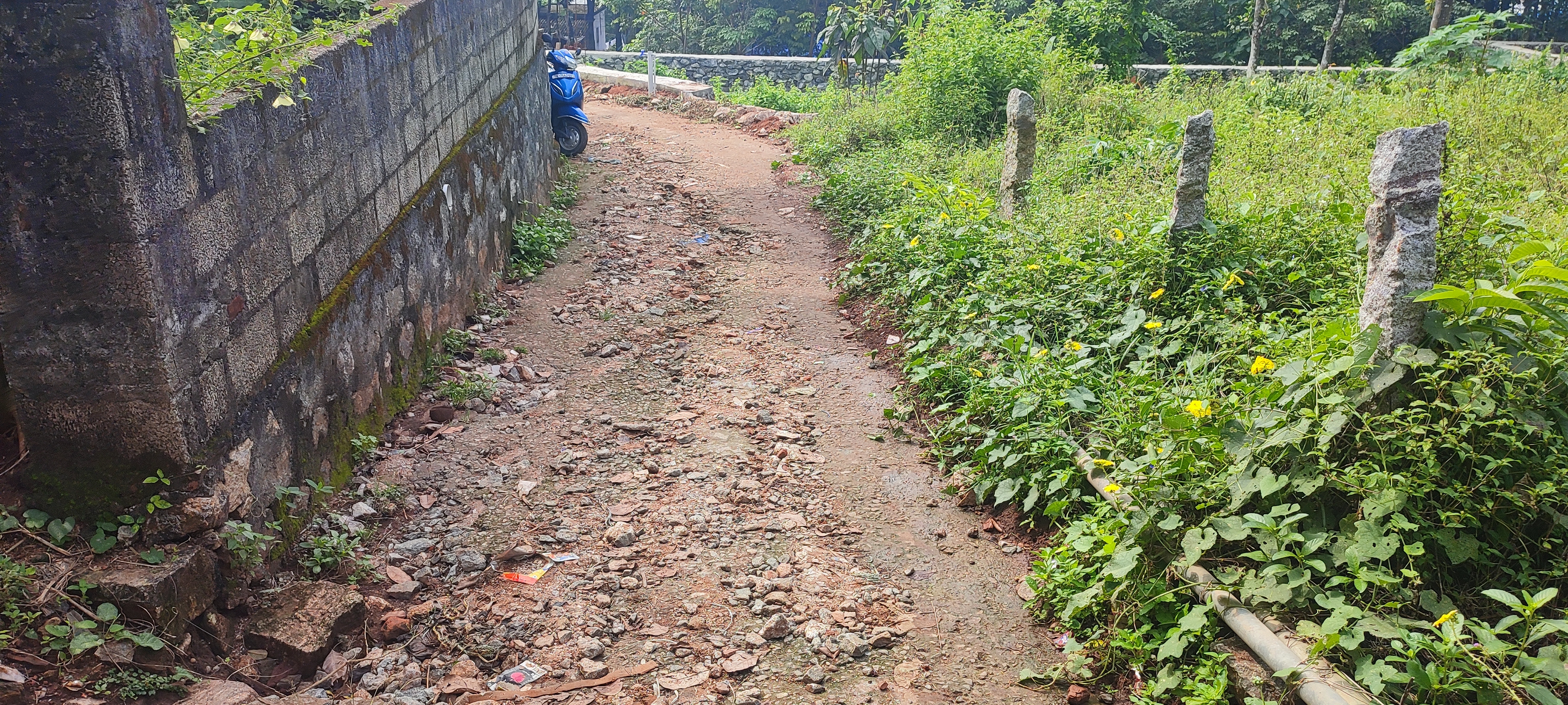 சாலையை சீரமைக்க வேண்டும் சாலையை சீரமைக்க வேண்டும்