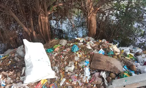 குப்பைகள் அகற்றப்படுமா?