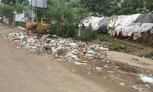 குப்பைகளால் அலங்கோலம் குப்பைகளால் அலங்கோலம்