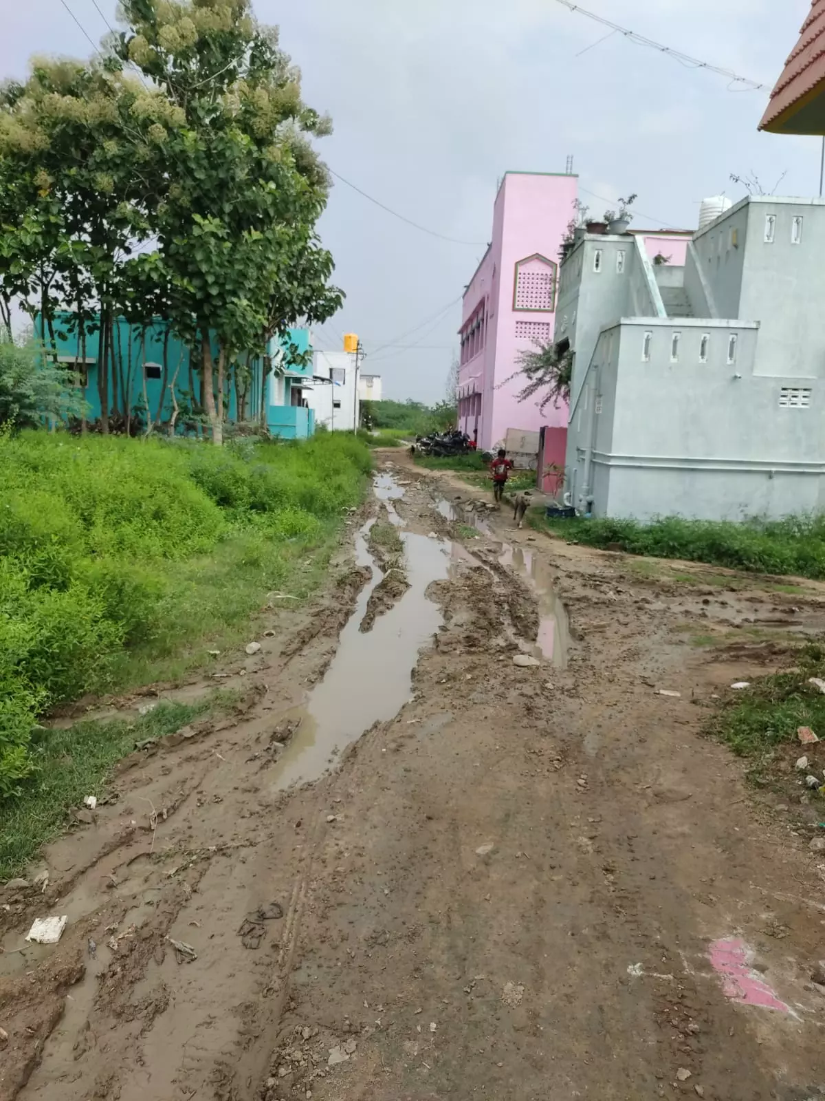 சாலை வசதி வேண்டி மக்கள் கோரிக்கை