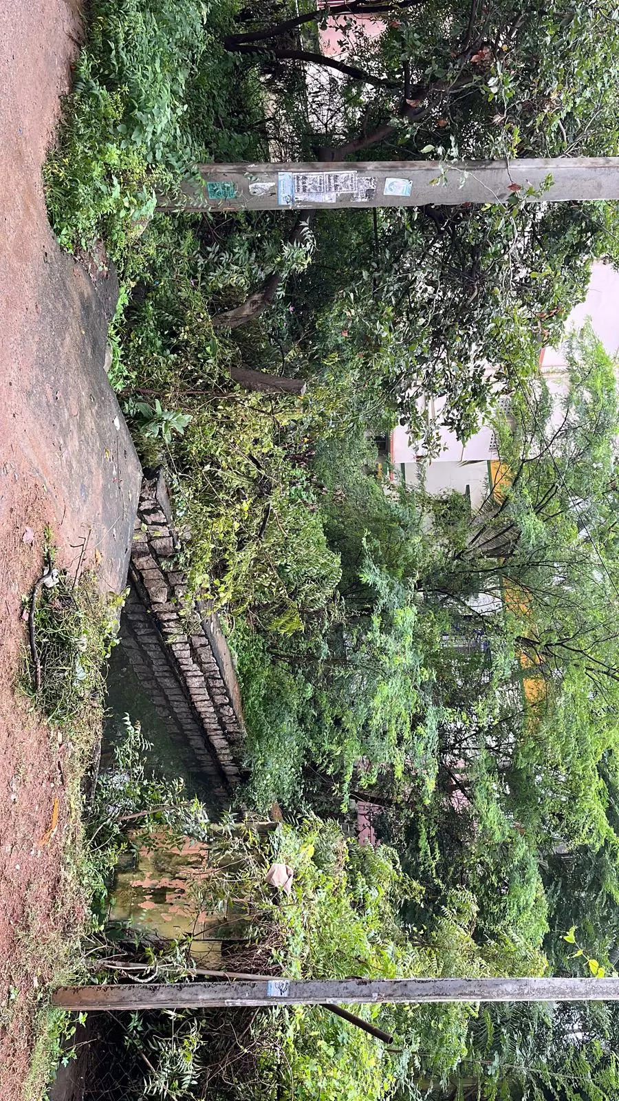 வெளியே நடமாட மக்கள் அச்சம்