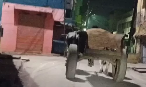 மணல் கொள்ளையை தடுக்க வேண்டும்