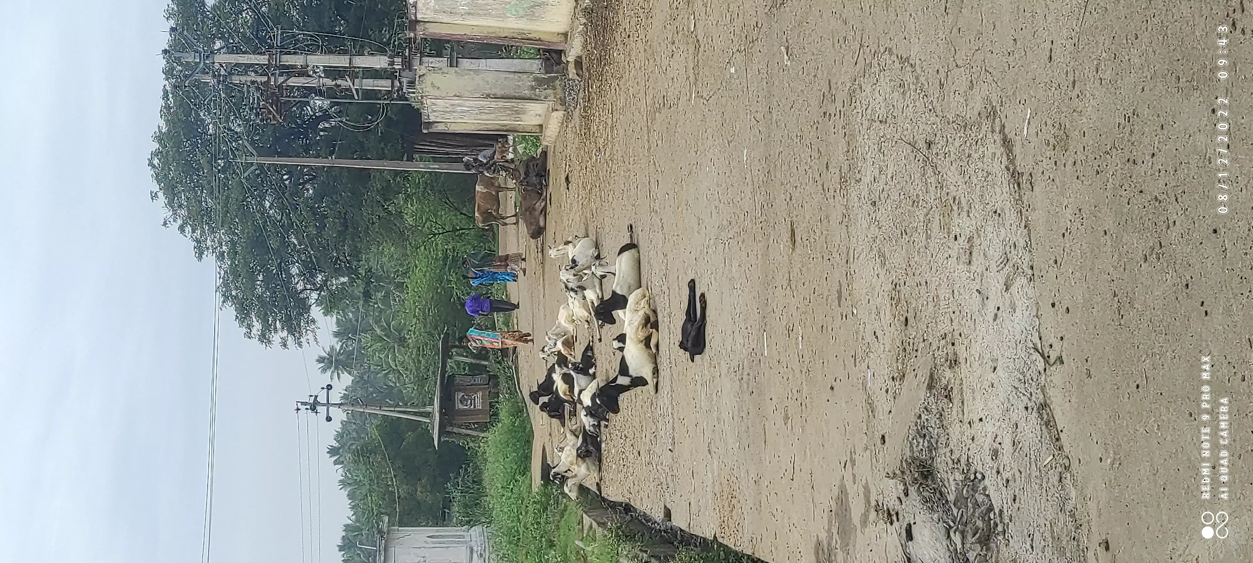 அபராதம் விதிக்கவேண்டும்