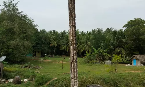 புதிய மின்கம்பம் அமைக்கவேண்டும் புதிய மின்கம்பம் அமைக்கவேண்டும்