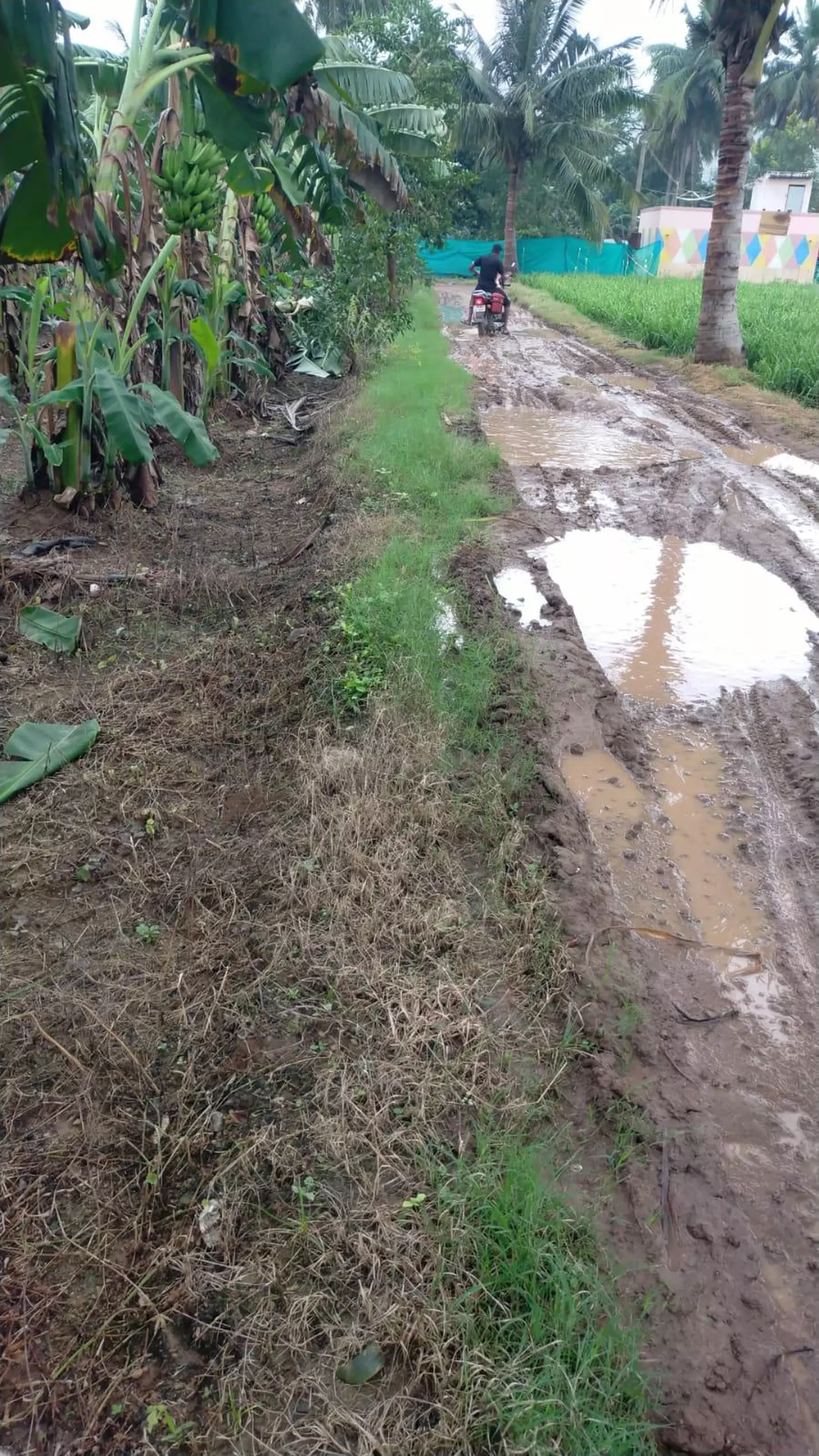 சாலையை சரி செய்வார்களா? சாலையை சரி செய்வார்களா?