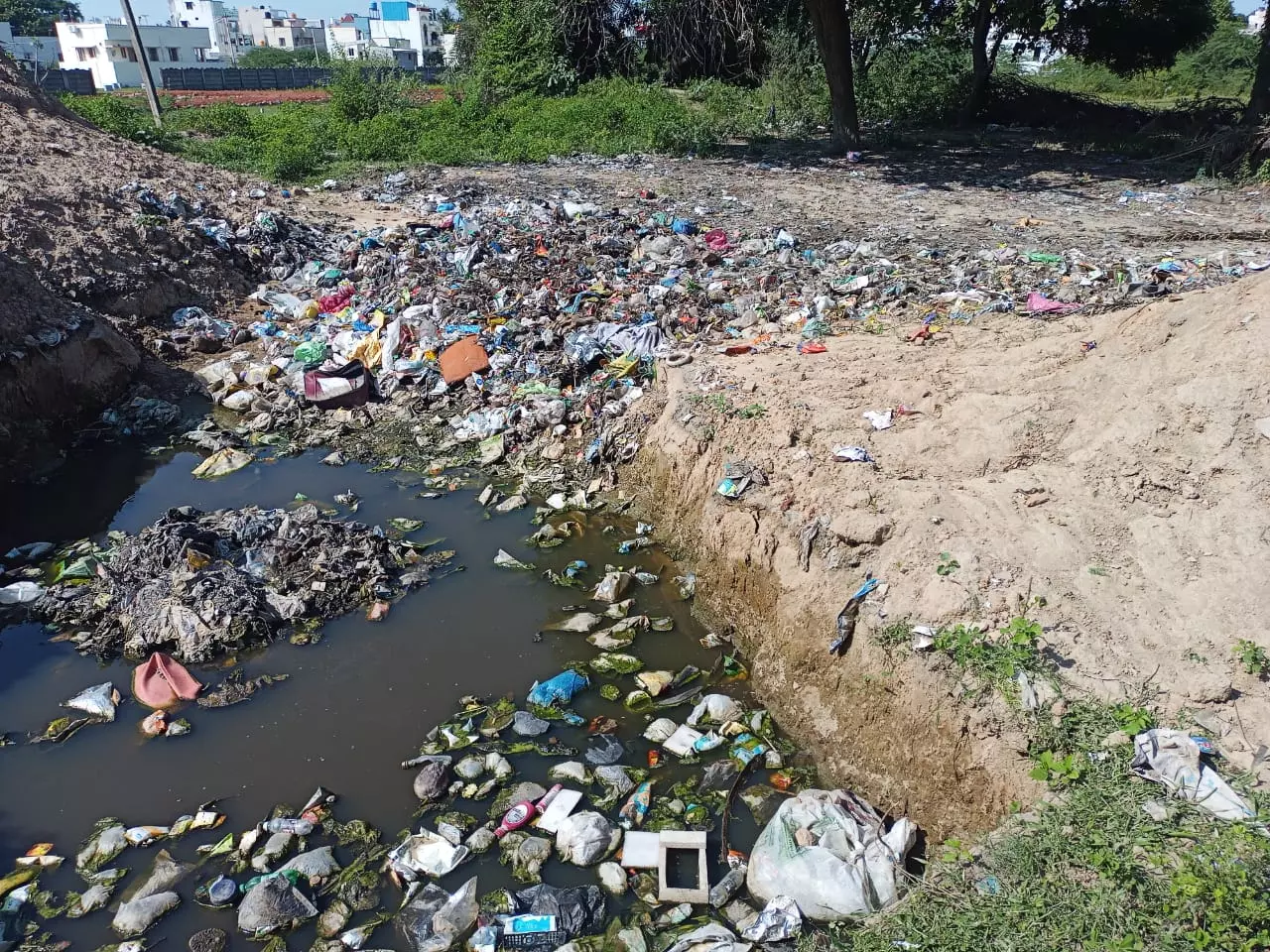 நடவடிக்கை எடுக்கப்படுமா? நடவடிக்கை எடுக்கப்படுமா?