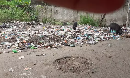 குவிந்து கிடக்கும் குப்பை