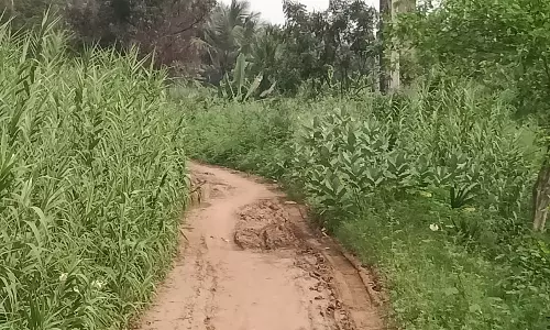 ஆக்கிரமிக்கப்பட்ட சாலை