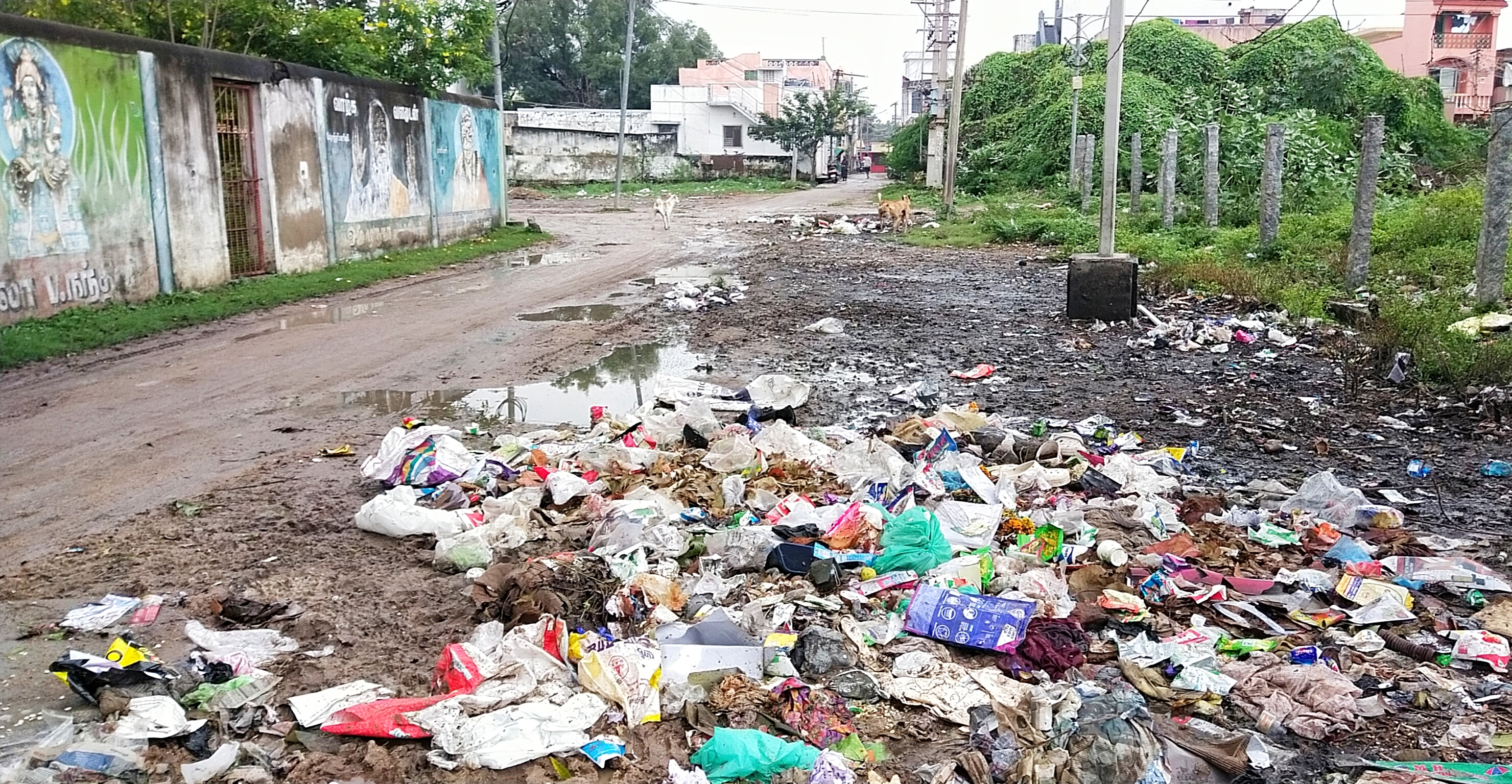 சாலையோரம் வீசப்படும் குப்பைகள்