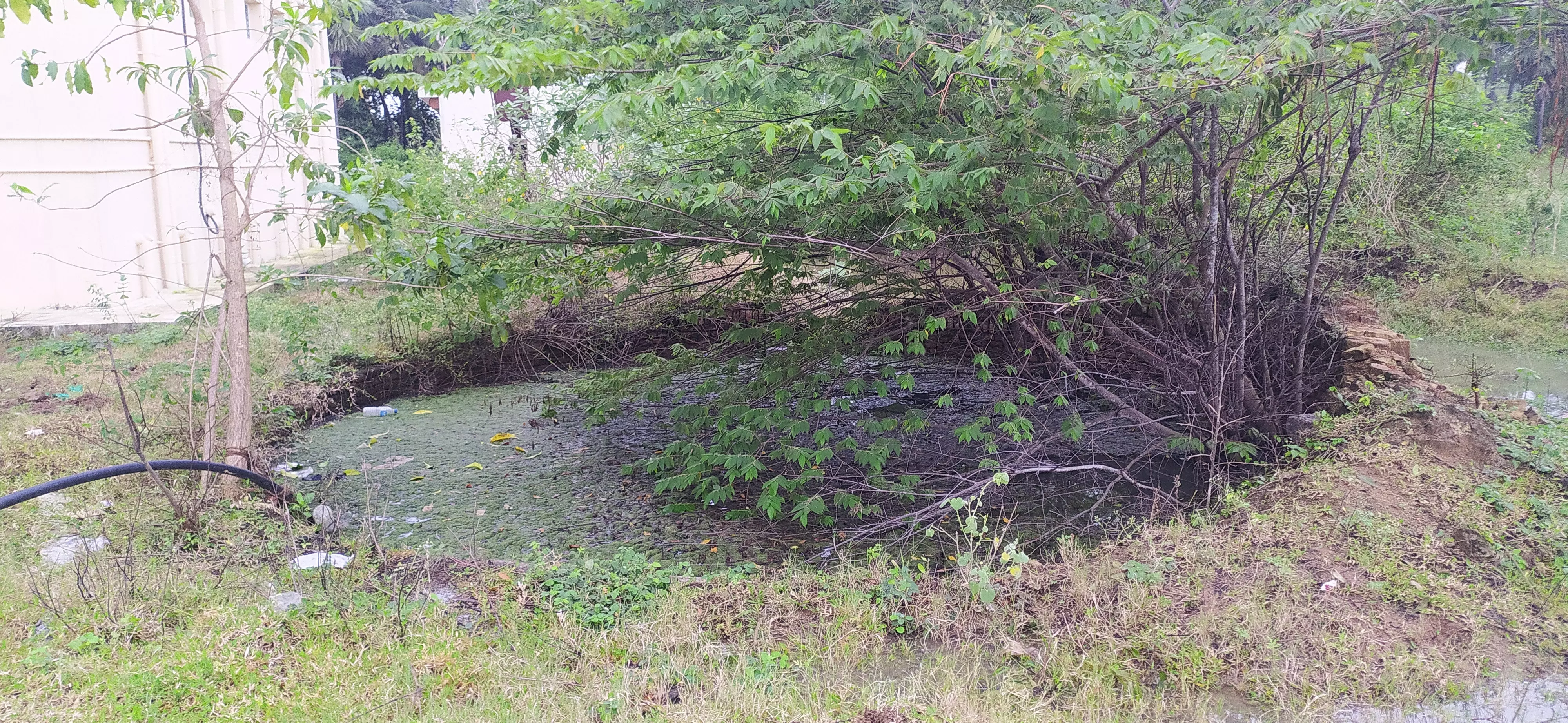 கிணறுக்கு சுற்றுச்சுவர் கட்ட வேண்டும்