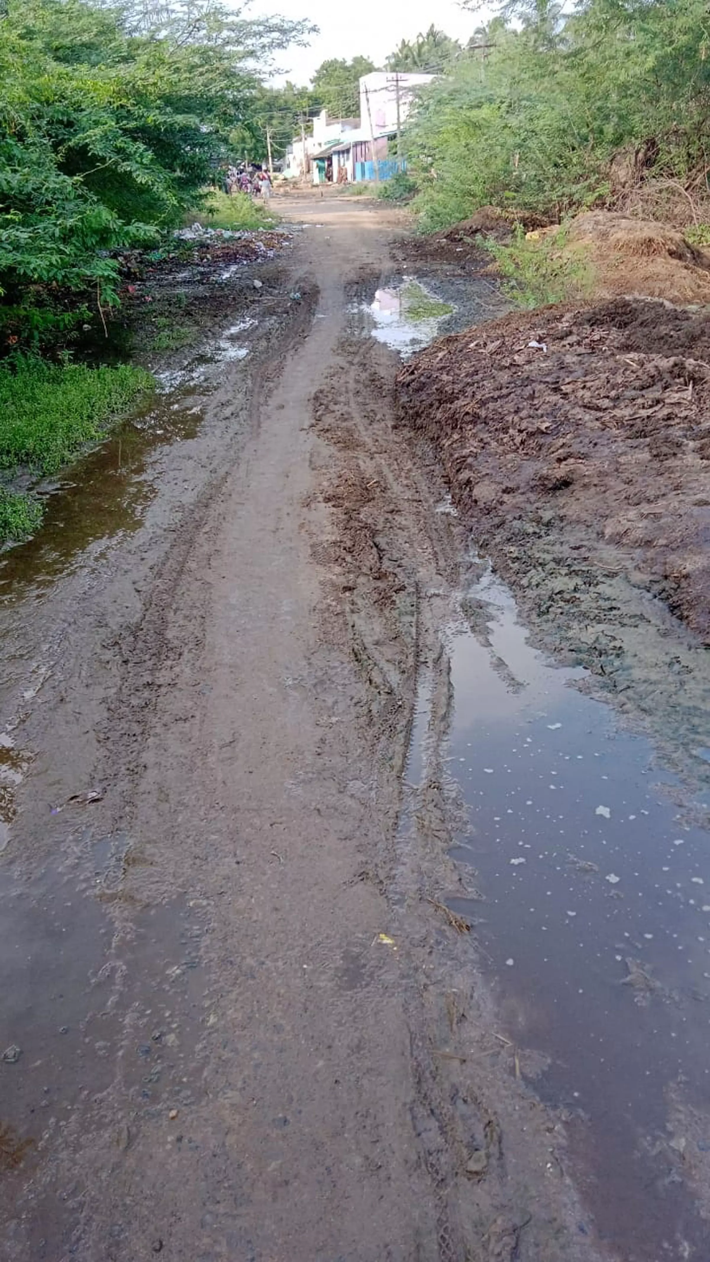 சுகாதாரக்கேடு சுகாதாரக்கேடு