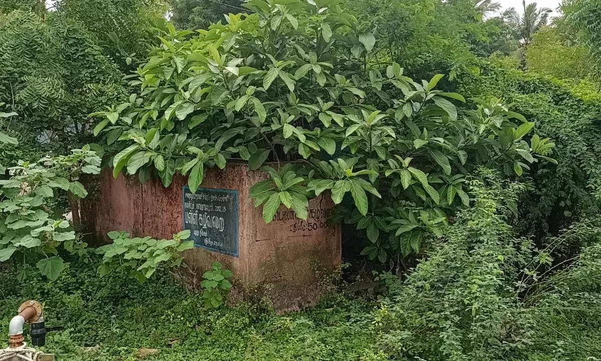 புதர்மண்டி கிடக்கும் கழிவறை புதர்மண்டி கிடக்கும் கழிவறை