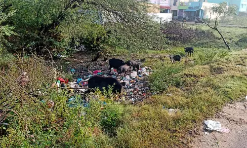 சுகாதார சீர்கேடு சுகாதார சீர்கேடு