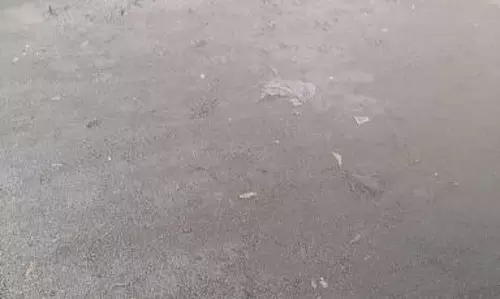 சாலை சீரமைக்கப்படுமா?  (ராமநாதபுரம் வெப்)