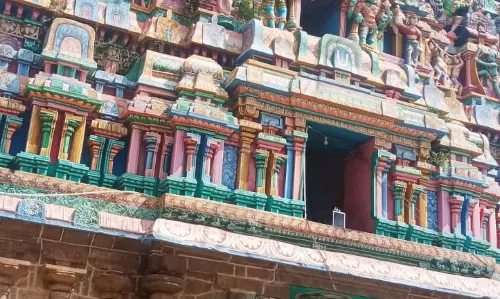 கோபுரத்தில் வளர்ந்துள்ள செடிகள் அகற்றப்படுமா? கோபுரத்தில் வளர்ந்துள்ள செடிகள் அகற்றப்படுமா?