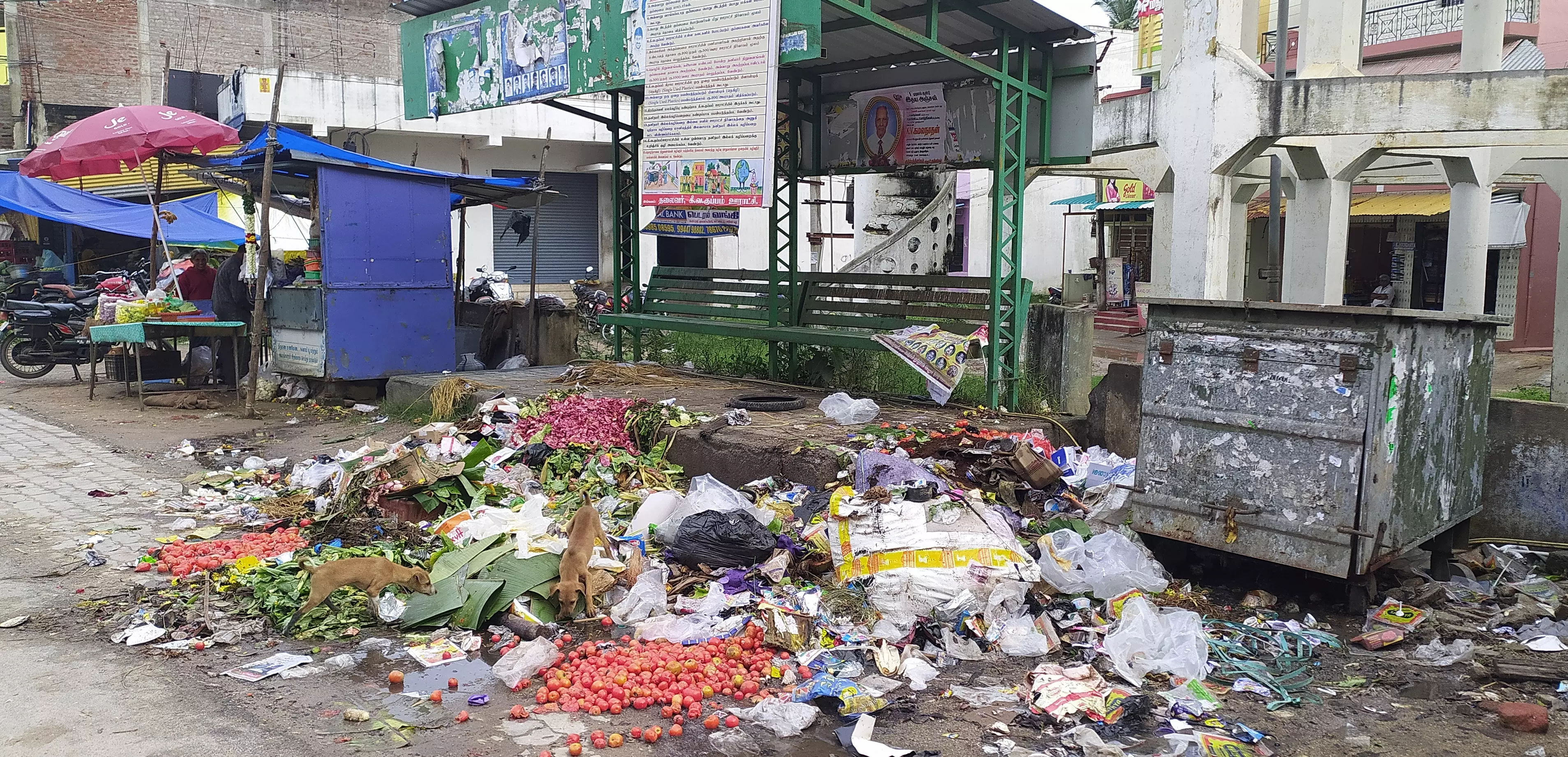 குப்பைகளை அகற்றுவார்களா?