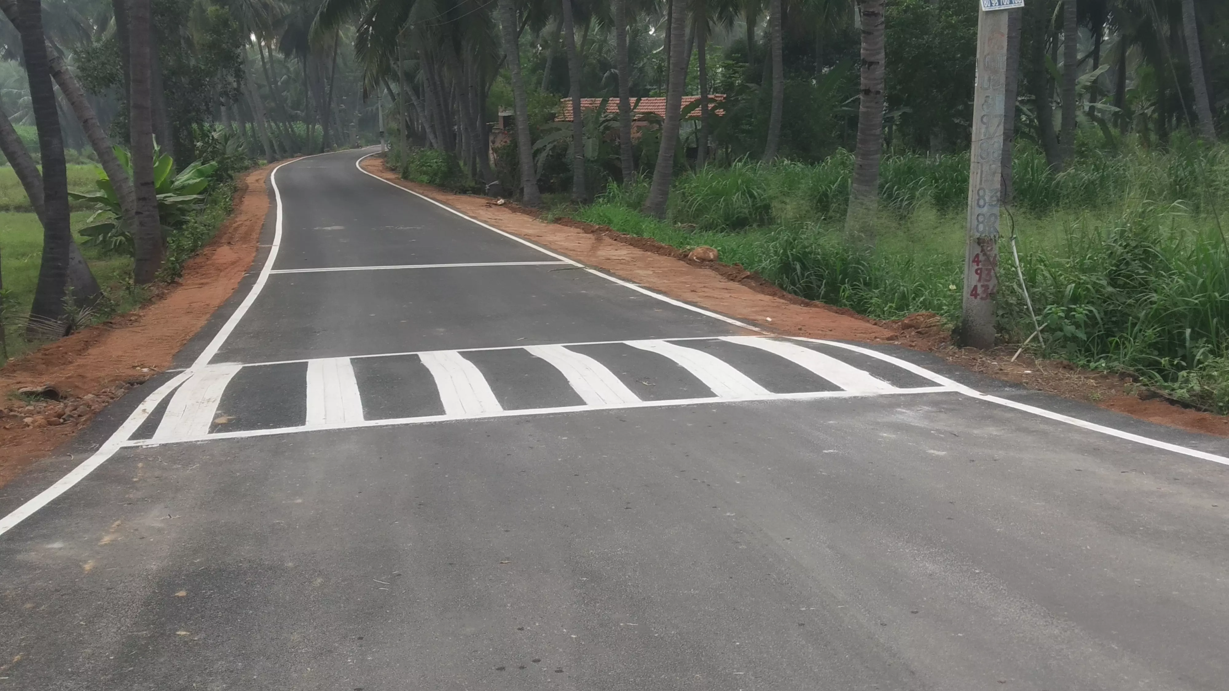 தினத்தந்தி புகார் பெட்டிக்கு நன்றி