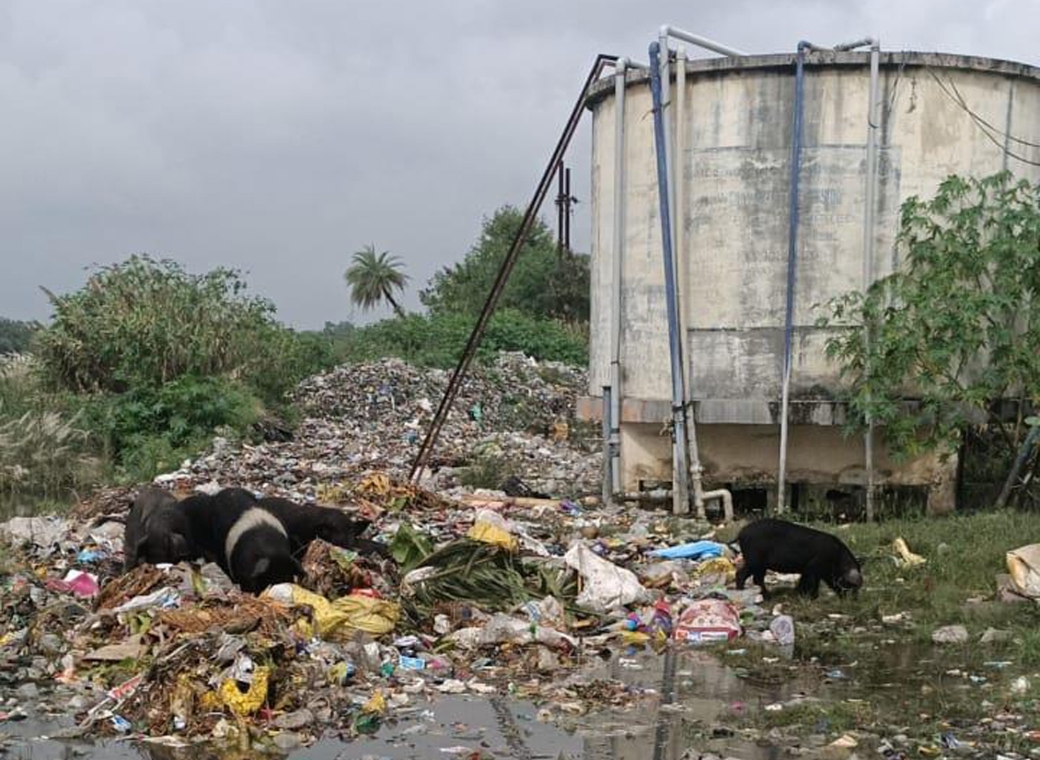குடிநீர் தொட்டி அருகே சுகாதார சீர்கேடு