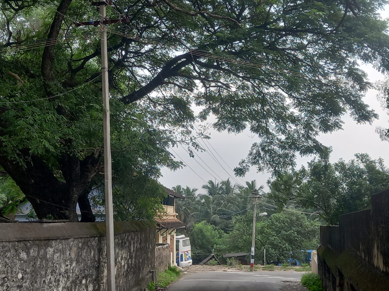 மின்விளக்கு தேவை