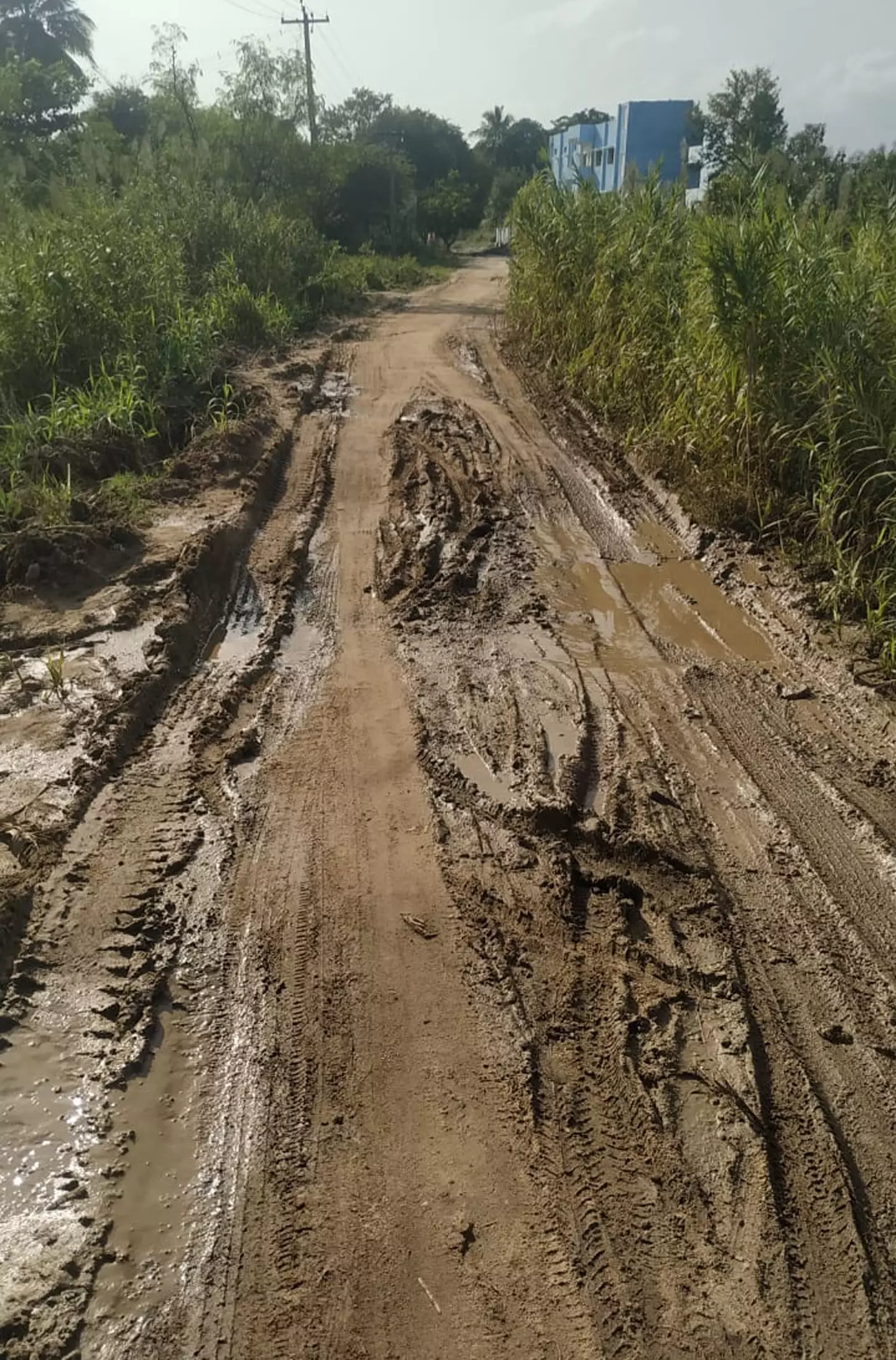 சேறும் சகதியுமான சாலை சேறும் சகதியுமான சாலை