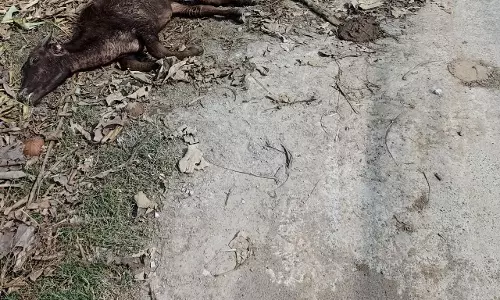 பொதுமக்கள் கோரிக்கை பொதுமக்கள் கோரிக்கை