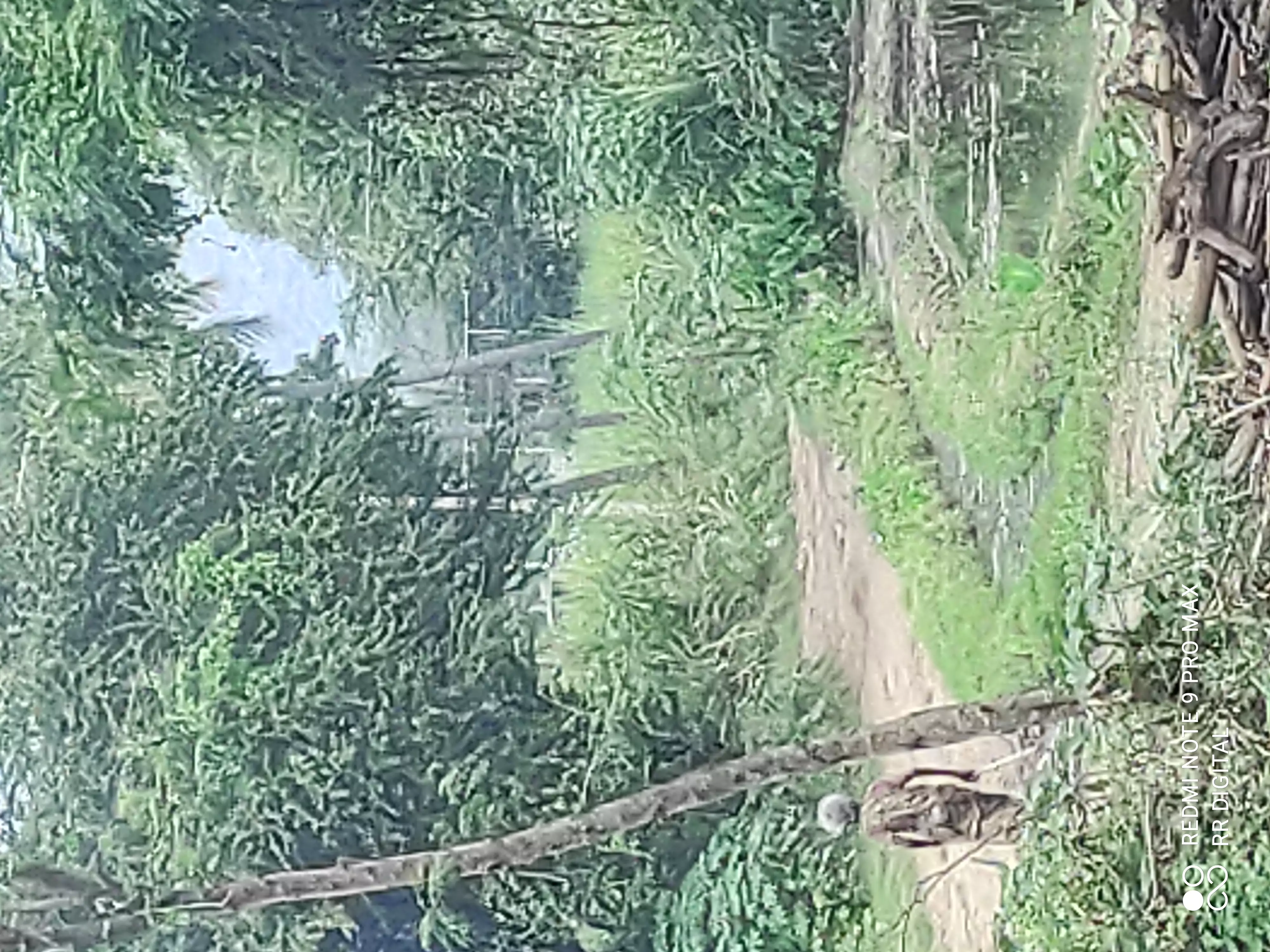 சாலை ஆக்கிரமிப்பு