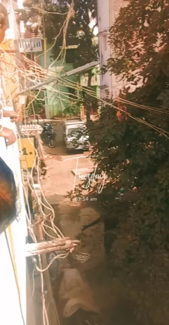 நடவடிக்கை தேவை