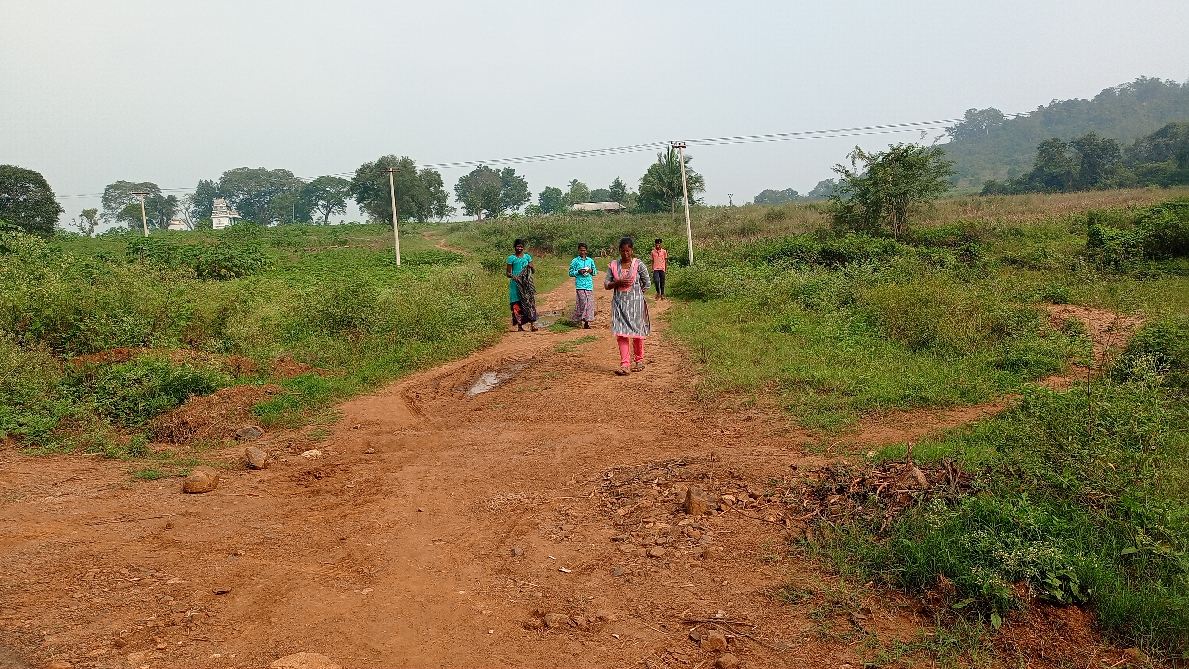 புதிய சாலை அமைக்கப்படுமா?