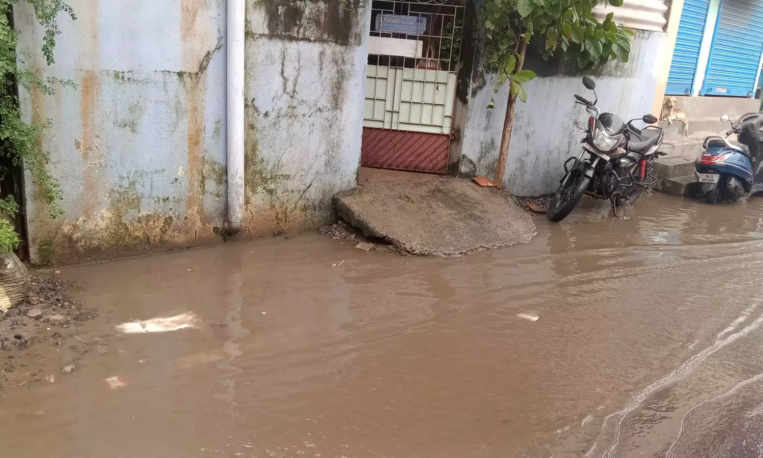 குடியிருப்புகளில் தேங்கும் மழைநீர்