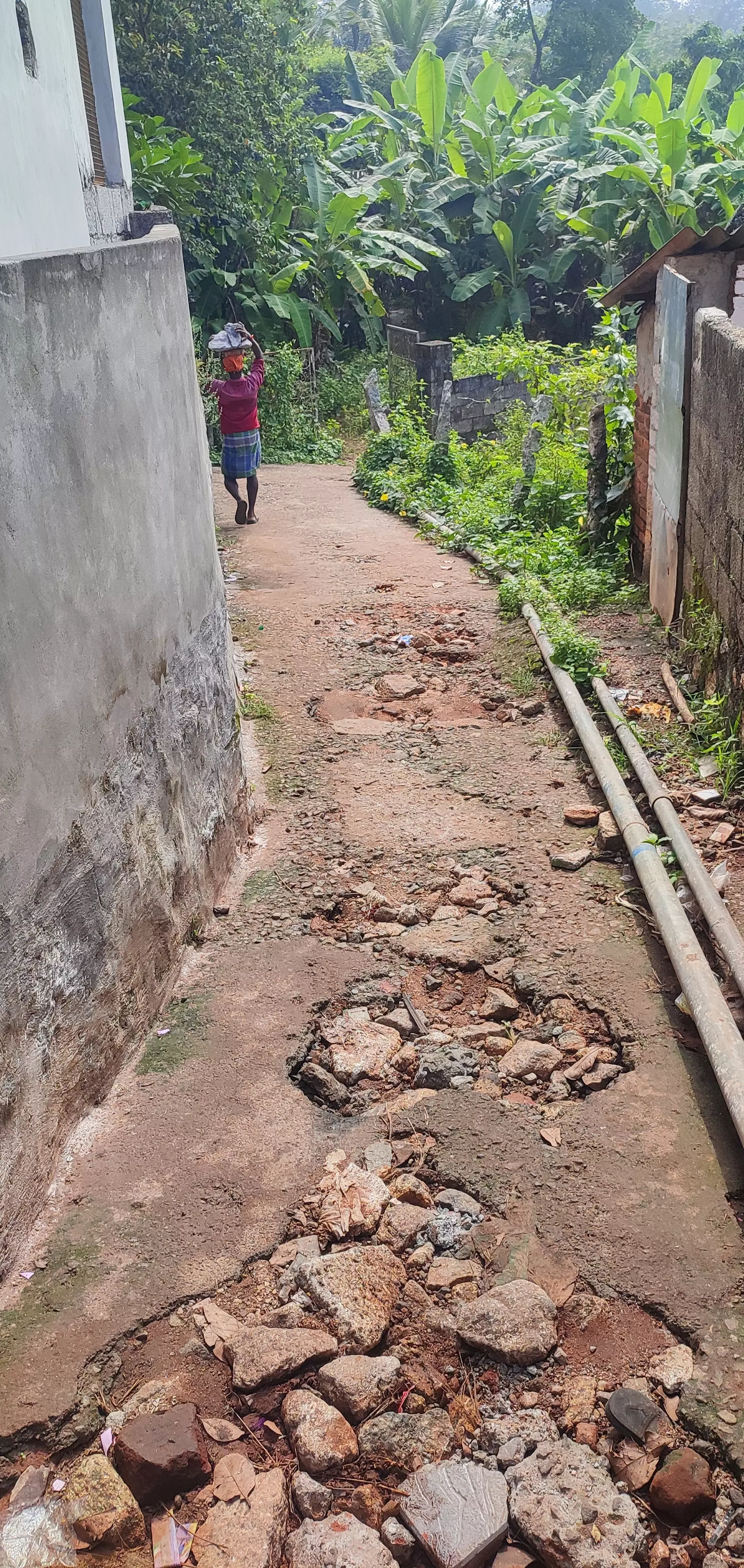 புத்தன்கடை -விளாக்கோடு இணைப்பு சாலை சரி செய்யப்படுமா? புத்தன்கடை -விளாக்கோடு இணைப்பு சாலை சரி செய்யப்படுமா?