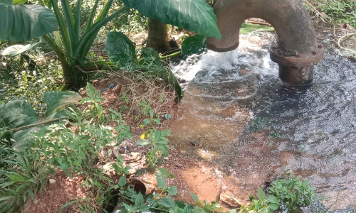 சுகாதாரகேடு சுகாதாரகேடு