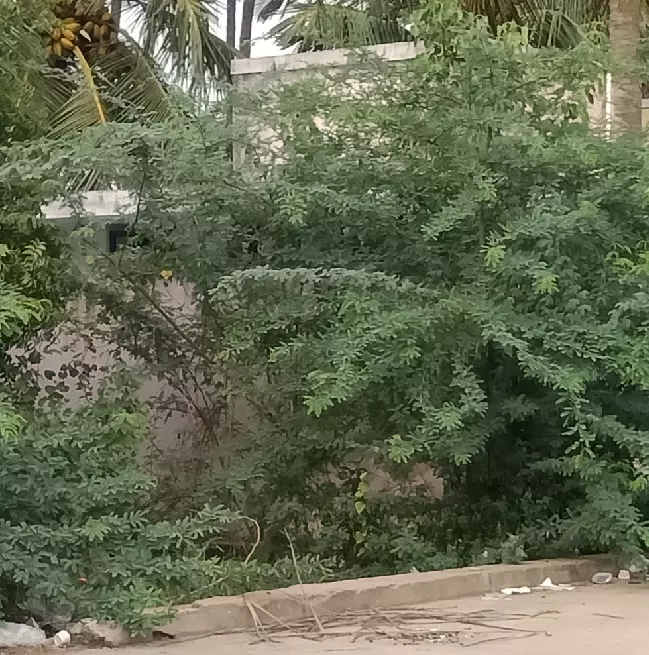 சிதிலமடைந்த சுகாதார வளாகம்