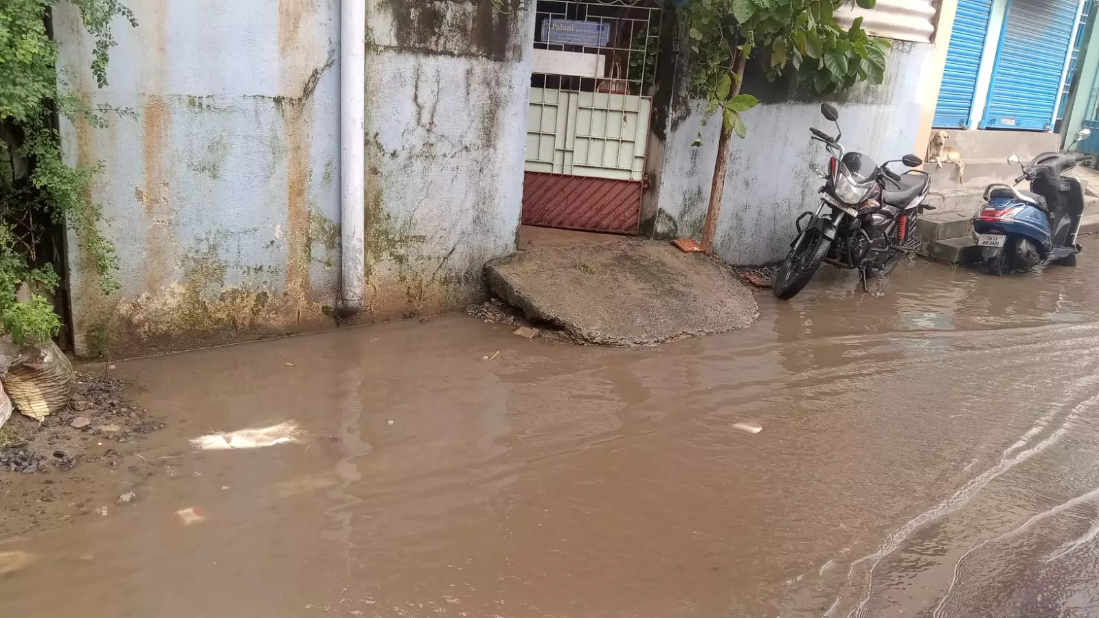 குடியிருப்புகளில் தேங்கும் கழிவுநீர் குடியிருப்புகளில் தேங்கும் கழிவுநீர்