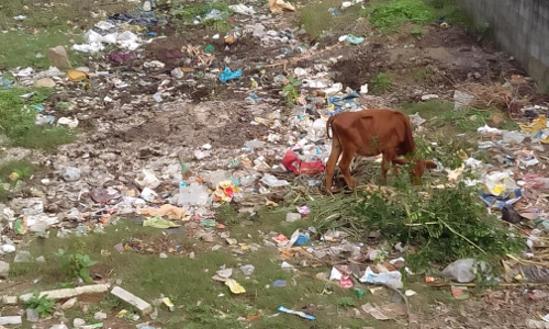 குப்பைகளால் துர்நாற்றம்