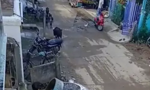 கால்வாய் தூர்வாரப்படுமா?