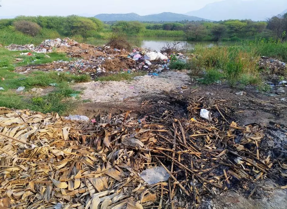 தூர்வாரப்படாத குளம்
