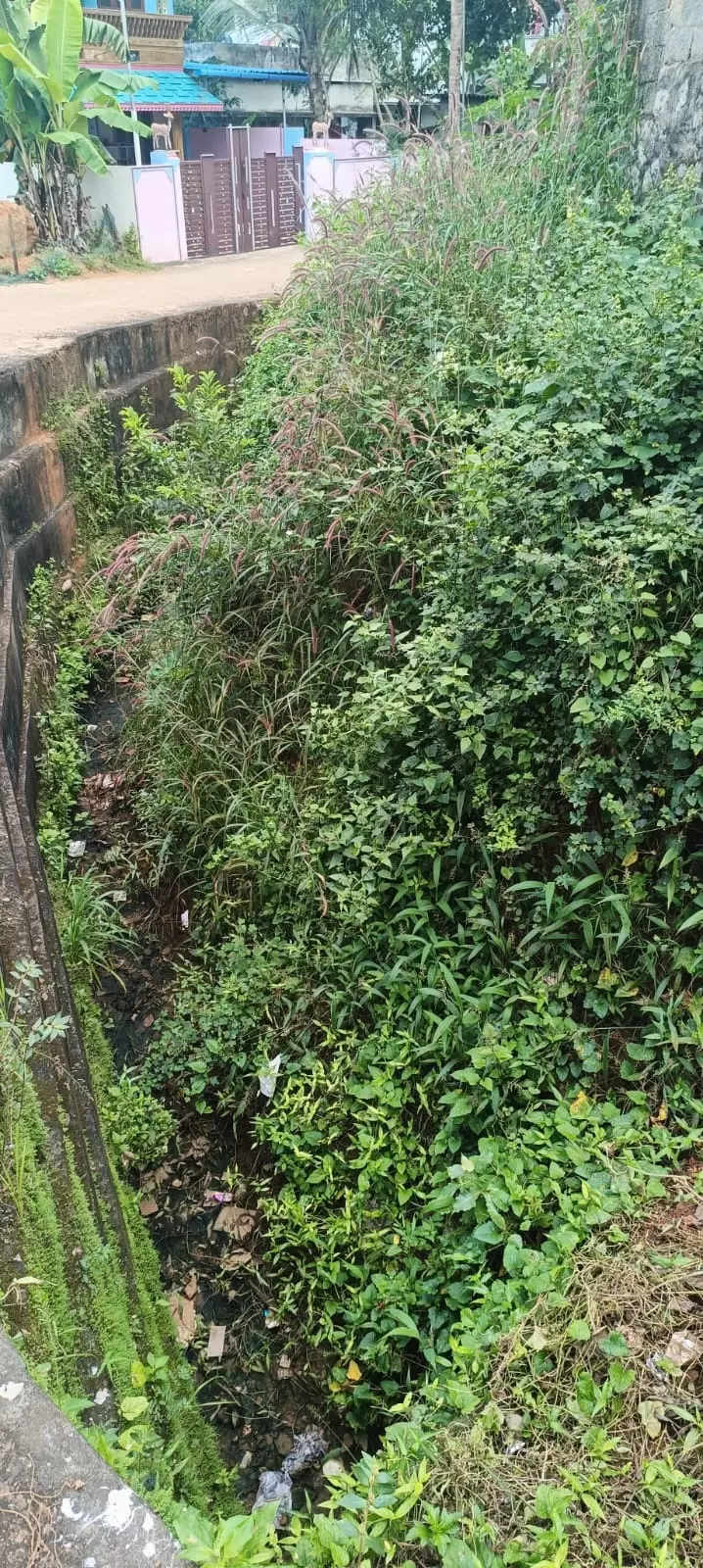 கால்வாயை தூர்வார வேண்டும் கால்வாயை தூர்வார வேண்டும்