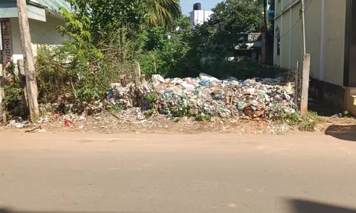 நடவடிக்கை எடுக்க வேண்டும் நடவடிக்கை எடுக்க வேண்டும்