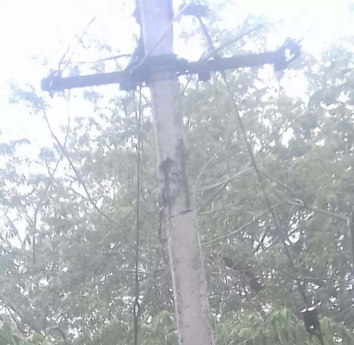 புதிய மின்கம்பம் வேண்டும் புதிய மின்கம்பம் வேண்டும்