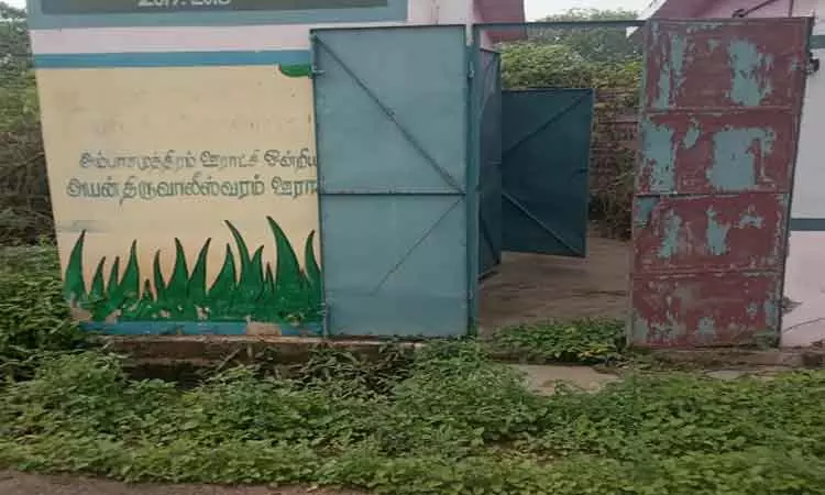 சுகாதார வளாகத்தை சூழ்ந்த புதர் செடிகள் சுகாதார வளாகத்தை சூழ்ந்த புதர் செடிகள்