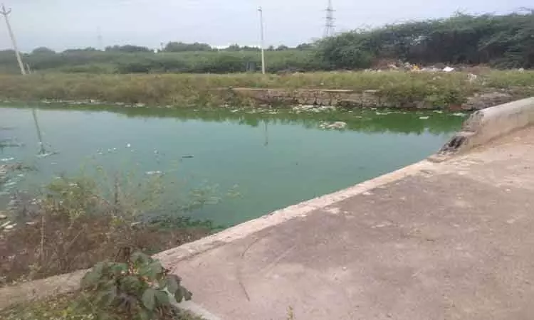 பாலத்தின் தடுப்புச்சுவர் சேதம் பாலத்தின் தடுப்புச்சுவர் சேதம்